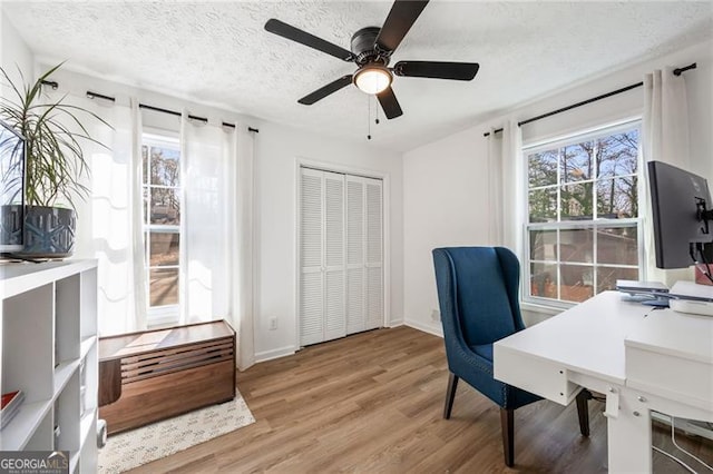 office space featuring ceiling fan, light hardwood / wood-style floors, and a textured ceiling