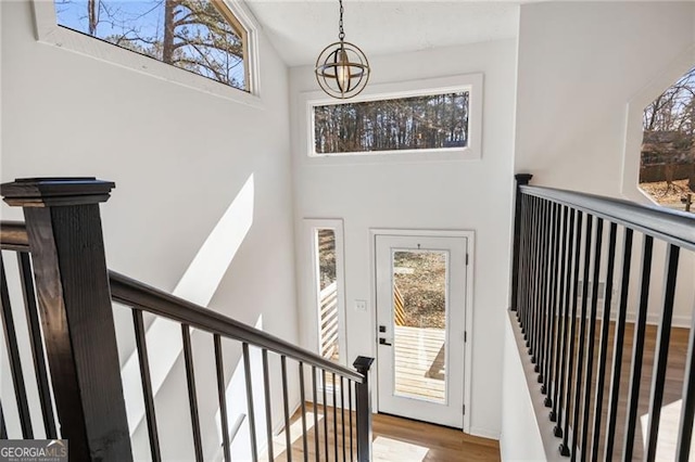 foyer featuring an inviting chandelier, plenty of natural light, wood-type flooring, and a high ceiling