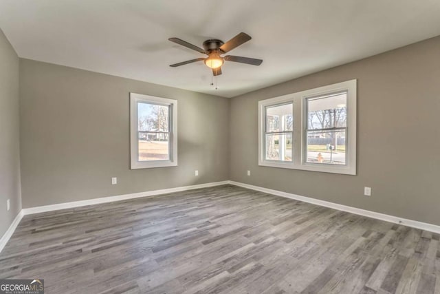 empty room with a healthy amount of sunlight, ceiling fan, and light hardwood / wood-style flooring