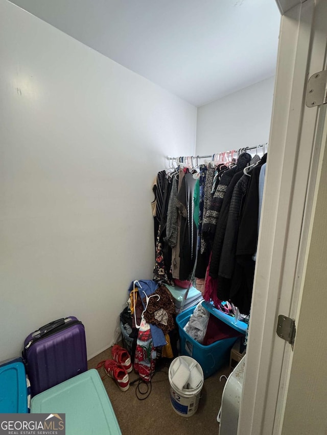 walk in closet with carpet floors