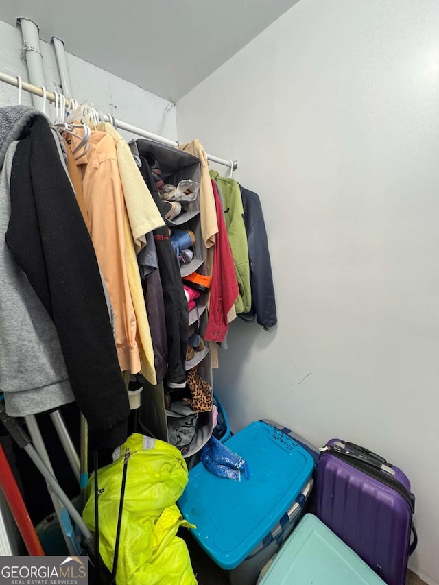 view of spacious closet