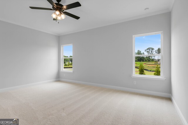 39 Pecan Ct, Hoschton, GA 30548 - unfurnished room with plenty of natural light, baseboards, light colored carpet, and crown molding