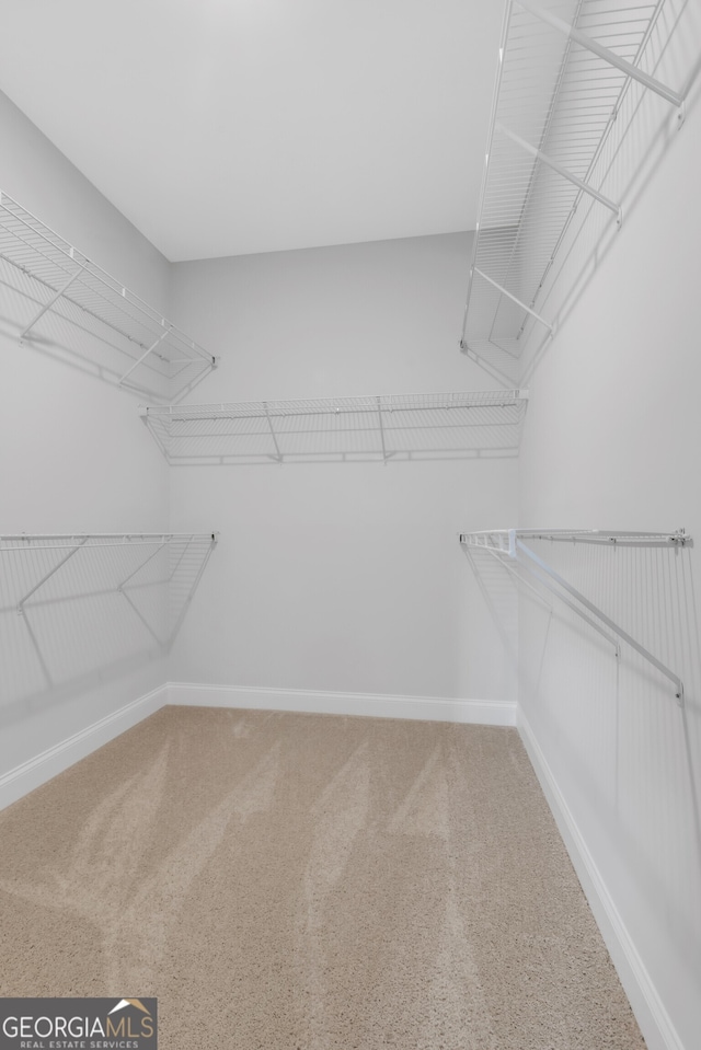 39 Pecan Ct, Hoschton, GA 30548 - spacious closet with carpet