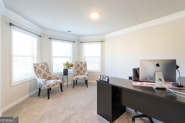 carpeted home office with a wealth of natural light and ornamental molding