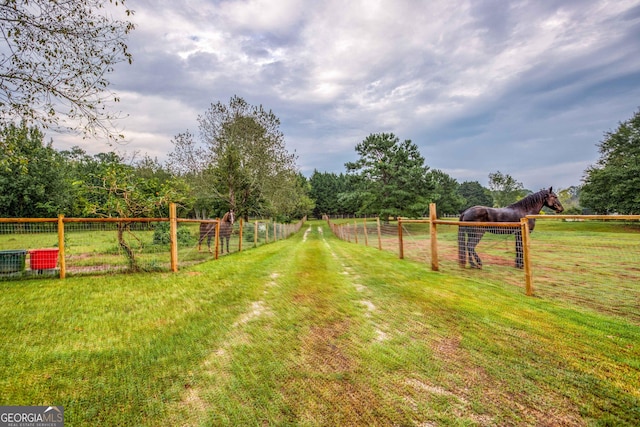 view of yard with a rural view