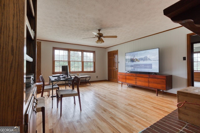 dining room with ceiling fan, light hardwood / wood-style flooring, ornamental molding, and a textured ceiling