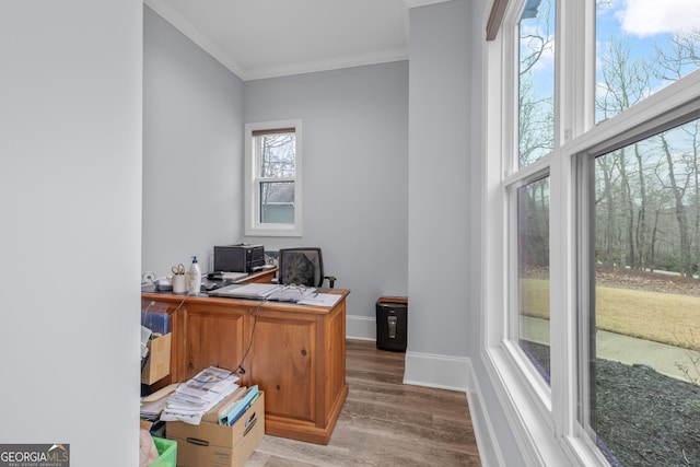 office area featuring crown molding and light wood-type flooring