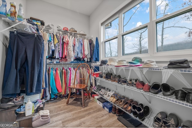 spacious closet featuring hardwood / wood-style flooring