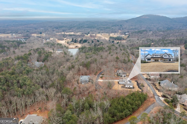 birds eye view of property with a mountain view