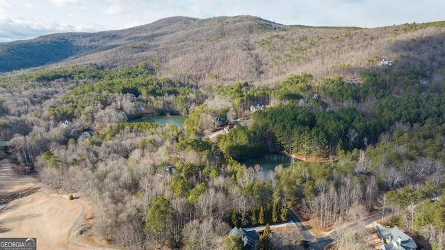 property view of mountains with a water view