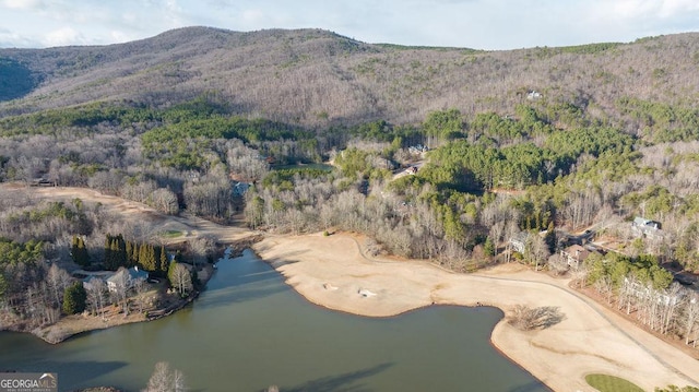 bird's eye view featuring a water and mountain view