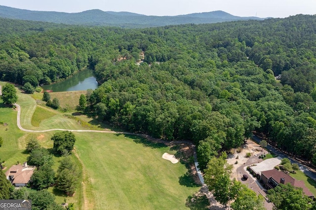 drone / aerial view with a water and mountain view