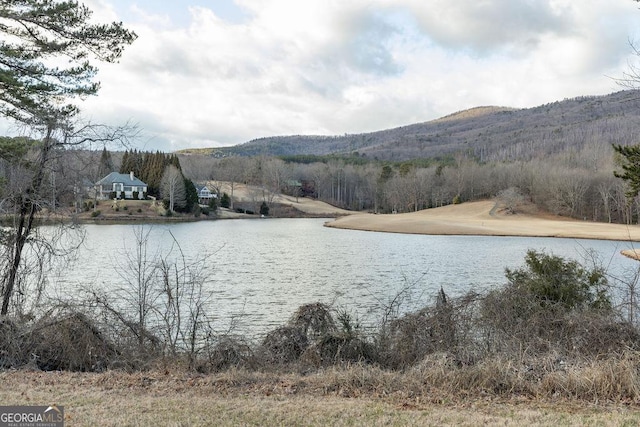 property view of water with a mountain view