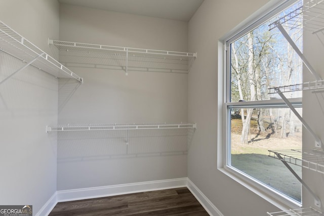 spacious closet featuring dark hardwood / wood-style floors