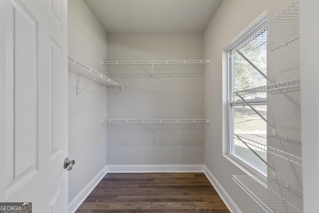 spacious closet featuring dark hardwood / wood-style floors