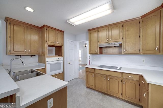 kitchen with white oven, black electric stovetop, under cabinet range hood, light countertops, and a sink