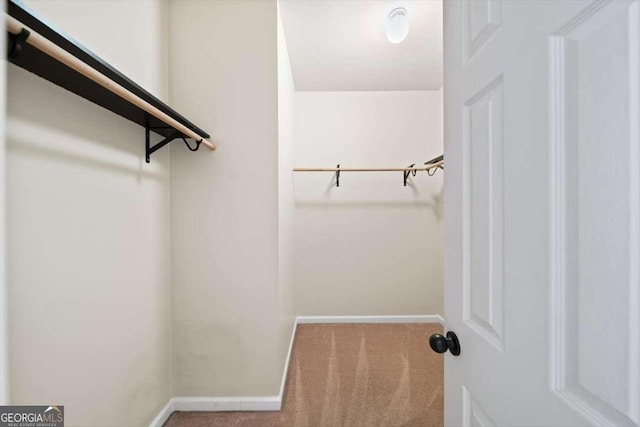 walk in closet featuring light carpet