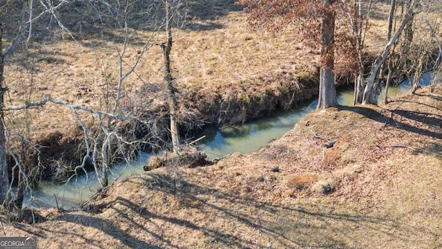 view of nature