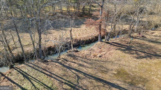 view of yard with a water view