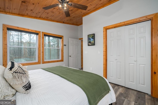 bedroom featuring dark hardwood / wood-style flooring, wood ceiling, a closet, and ceiling fan