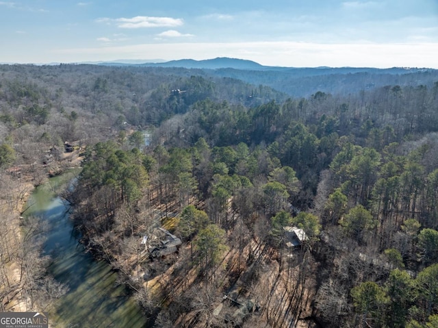 birds eye view of property featuring a water and mountain view