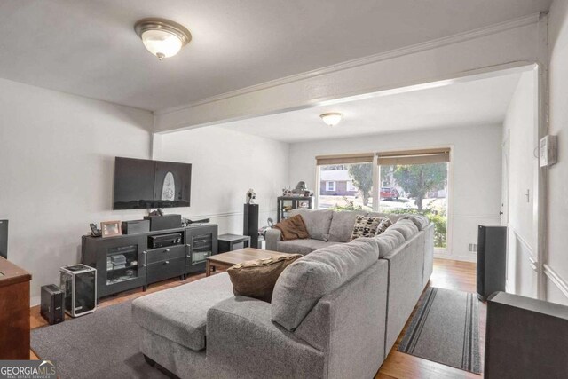 living room featuring hardwood / wood-style flooring