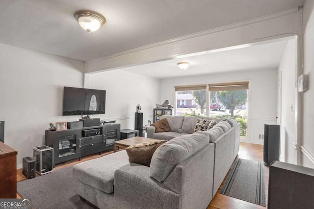 living room featuring hardwood / wood-style floors