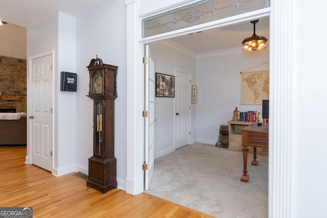 hall featuring hardwood / wood-style floors and ornamental molding