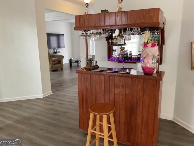 bar featuring dark hardwood / wood-style floors