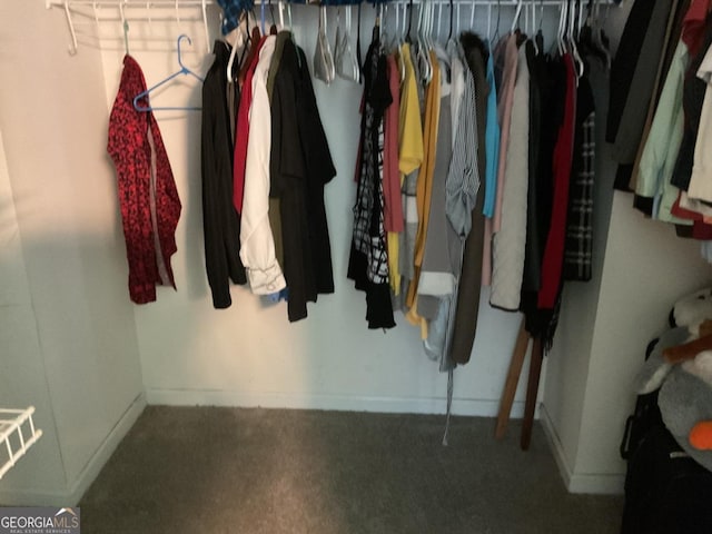 walk in closet featuring carpet flooring