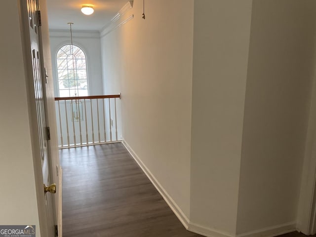 hall with crown molding and dark wood-type flooring