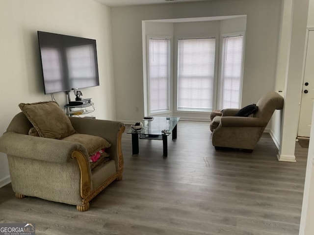 sitting room with hardwood / wood-style floors