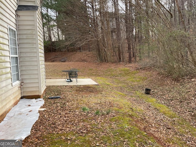 view of yard with a patio area