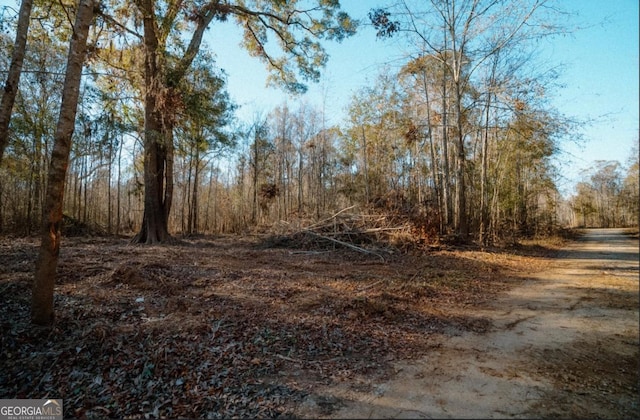 Listing photo 3 for 0 Getaway Ln Unit Lot11, Surrency GA 31563