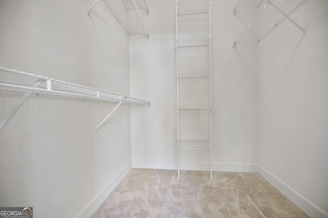 walk in closet featuring light carpet