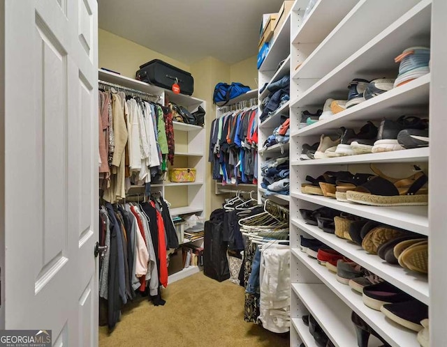 spacious closet featuring carpet floors