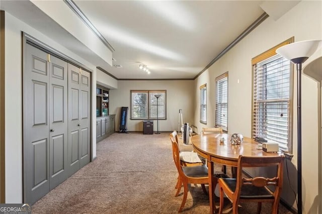 carpeted dining room featuring crown molding