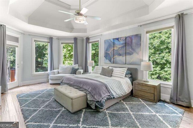 bedroom featuring access to exterior, a raised ceiling, and multiple windows