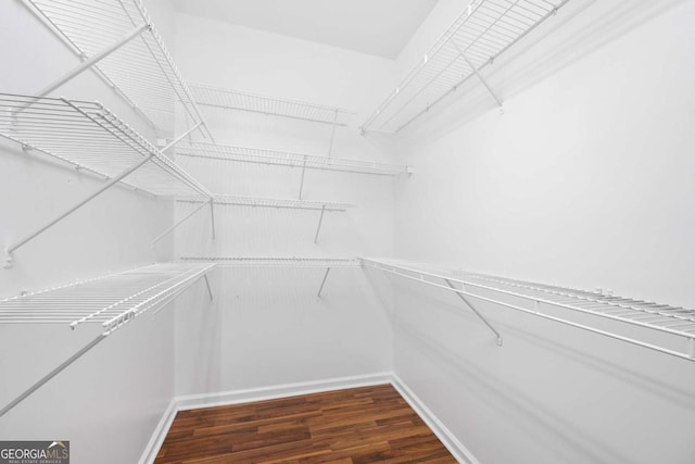 walk in closet with dark hardwood / wood-style floors