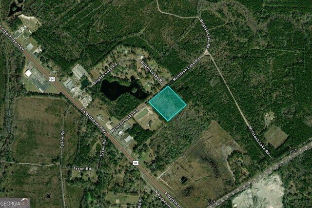 6.18ACRES Mcintosh Lake Rd, Hinesville, GA 31313