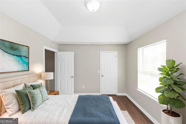 bedroom featuring a raised ceiling, vaulted ceiling, and dark hardwood / wood-style flooring