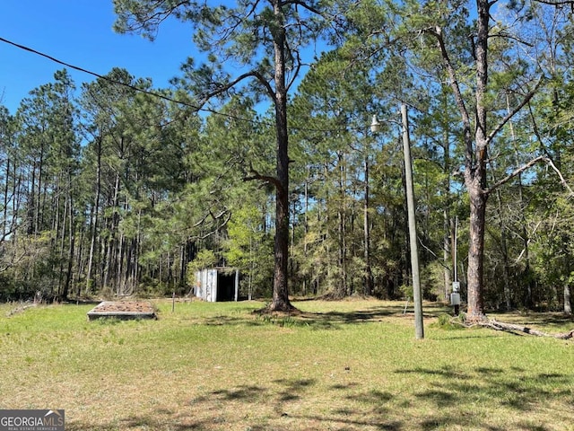 view of yard with a storage shed