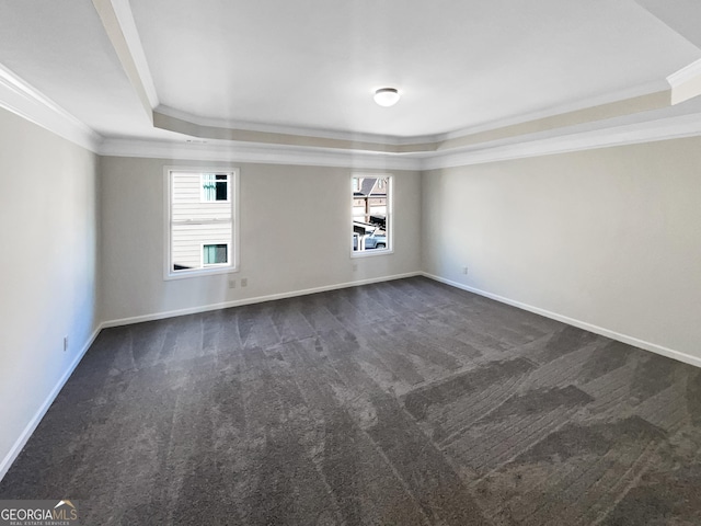 carpeted empty room featuring crown molding and a raised ceiling