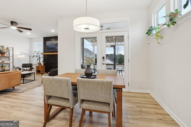 dining area with ceiling fan and light wood-type flooring