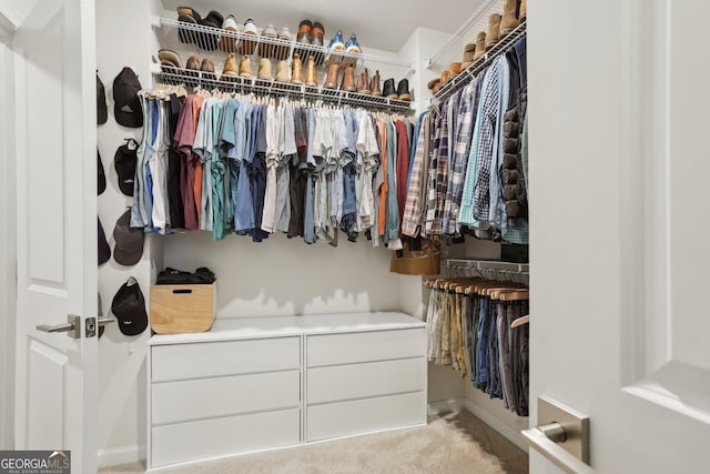 spacious closet featuring light colored carpet