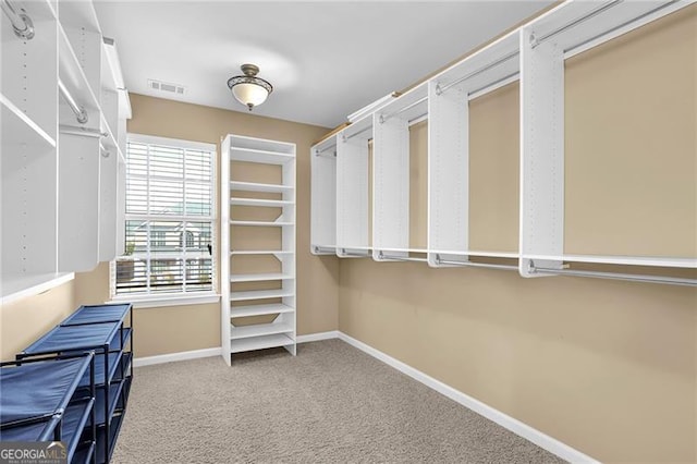 spacious closet with carpet flooring and visible vents