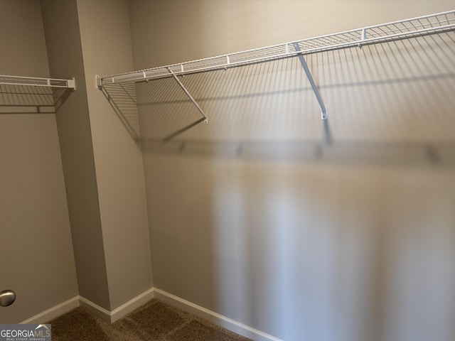 spacious closet with carpet