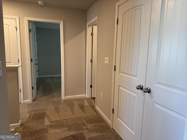 hallway featuring carpet floors