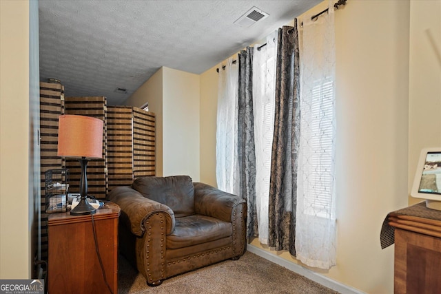 sitting room featuring a textured ceiling and carpet