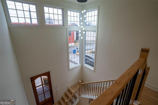 staircase featuring wood-type flooring